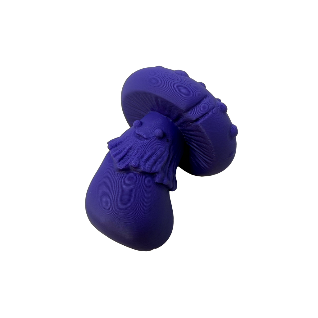 Magnet