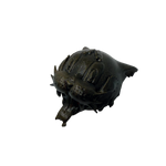 Magnet